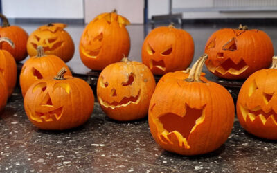 Fortbildung: Gelungene Kommunikation